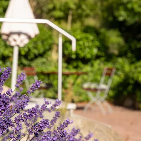 Apartament 02 Heimathafen *